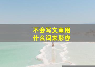 不会写文章用什么词来形容