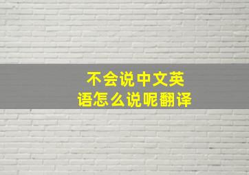 不会说中文英语怎么说呢翻译