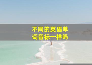 不同的英语单词音标一样吗