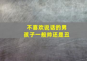 不喜欢说话的男孩子一般帅还是丑