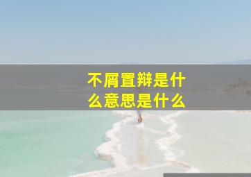 不屑置辩是什么意思是什么