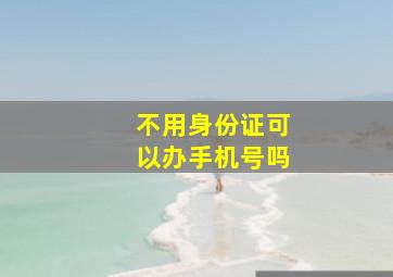 不用身份证可以办手机号吗