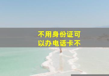 不用身份证可以办电话卡不