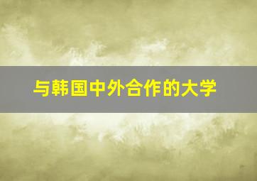 与韩国中外合作的大学