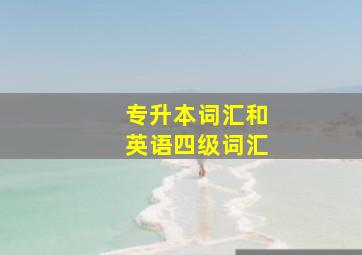 专升本词汇和英语四级词汇