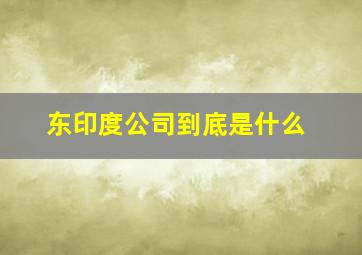 东印度公司到底是什么