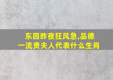 东园昨夜狂风急,品德一流贵夫人代表什么生肖