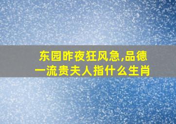 东园昨夜狂风急,品德一流贵夫人指什么生肖