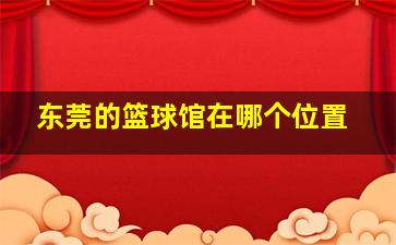 东莞的篮球馆在哪个位置