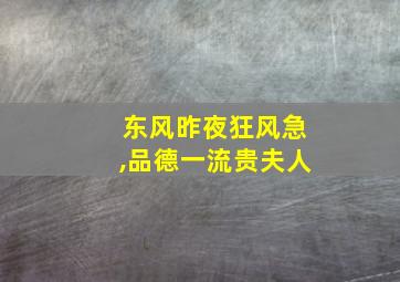 东风昨夜狂风急,品德一流贵夫人