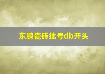 东鹏瓷砖批号db开头