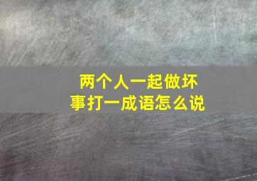 两个人一起做坏事打一成语怎么说