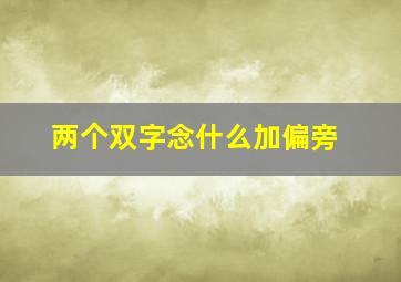 两个双字念什么加偏旁