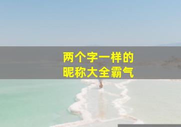 两个字一样的昵称大全霸气