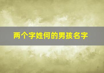 两个字姓何的男孩名字