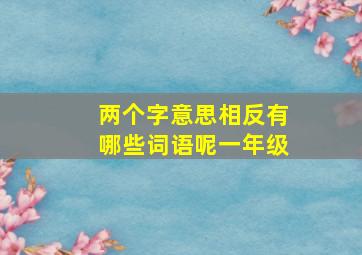 两个字意思相反有哪些词语呢一年级