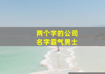 两个字的公司名字霸气男士