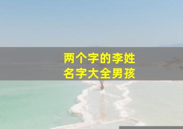 两个字的李姓名字大全男孩