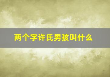 两个字许氏男孩叫什么