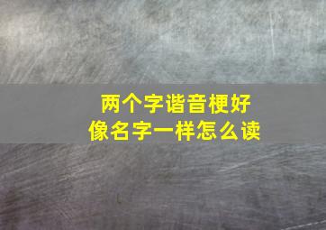 两个字谐音梗好像名字一样怎么读