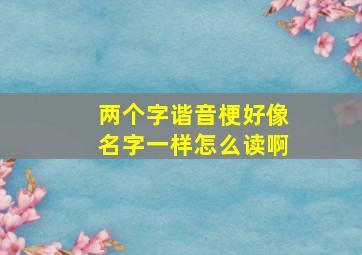 两个字谐音梗好像名字一样怎么读啊