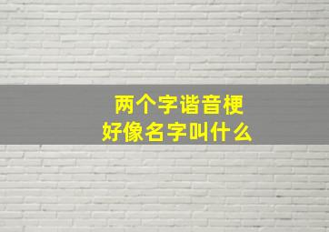 两个字谐音梗好像名字叫什么