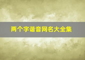 两个字谐音网名大全集