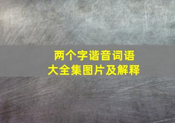 两个字谐音词语大全集图片及解释