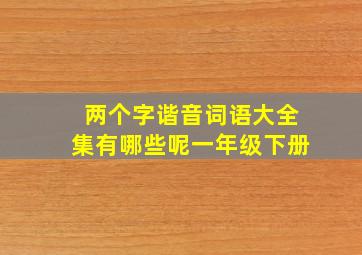 两个字谐音词语大全集有哪些呢一年级下册