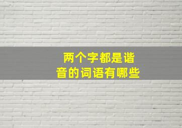 两个字都是谐音的词语有哪些