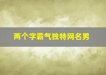 两个字霸气独特网名男