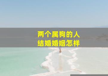 两个属狗的人结婚婚姻怎样