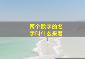 两个数字的名字叫什么来着