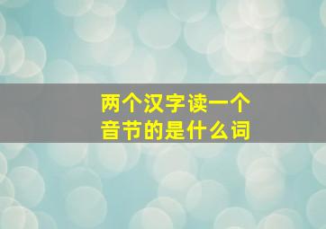 两个汉字读一个音节的是什么词