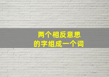 两个相反意思的字组成一个词