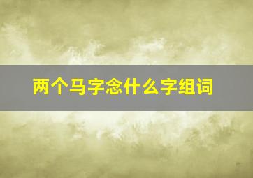 两个马字念什么字组词