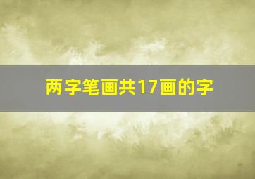 两字笔画共17画的字