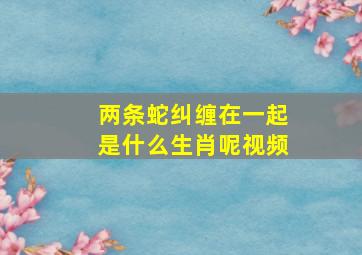 两条蛇纠缠在一起是什么生肖呢视频