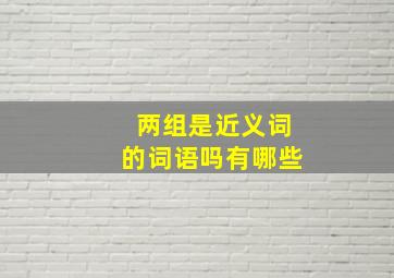 两组是近义词的词语吗有哪些