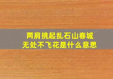 两肩挑起乱石山春城无处不飞花是什么意思