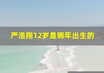 严浩翔12岁是哪年出生的