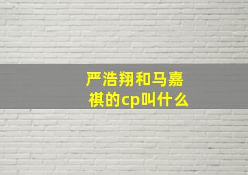 严浩翔和马嘉祺的cp叫什么