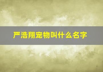 严浩翔宠物叫什么名字