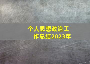 个人思想政治工作总结2023年