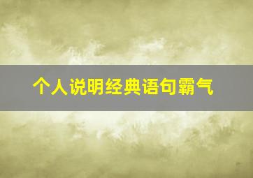 个人说明经典语句霸气