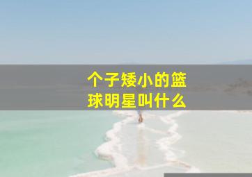 个子矮小的篮球明星叫什么