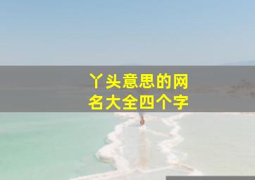 丫头意思的网名大全四个字