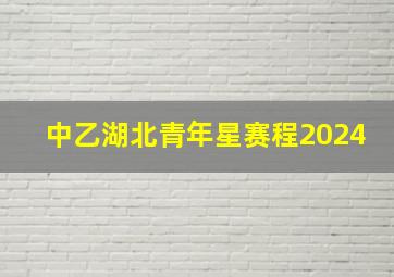 中乙湖北青年星赛程2024