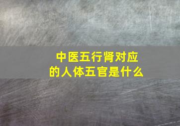 中医五行肾对应的人体五官是什么