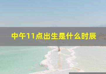 中午11点出生是什么时辰